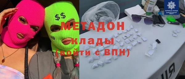 индика Нея